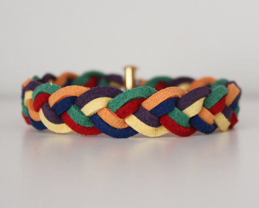 Braided Bracelet in Rainbow Bright